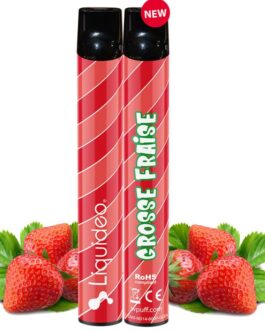 Wpuff Grosse Fraise 600 puffs